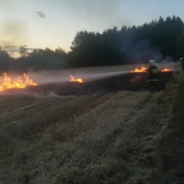 Pożar ścierniska w Wólce Pytowskiej