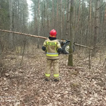 Lipie: Drzewo upadło na mężczyznę