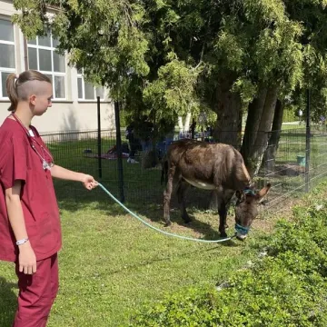 [WIDEO] Dni Otwarte w ZSCKR w Dobryszycach