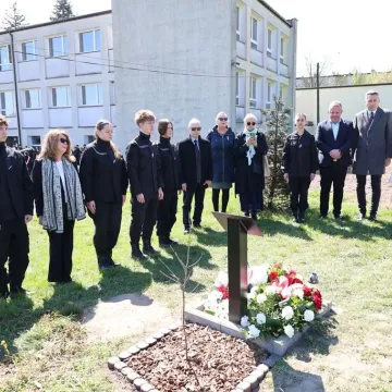 W ZSP nr 1 w Radomsku odsłonięto Dąb Pamięci