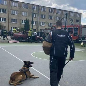 Gra terenowa, pokazy i kierunki. Tak było w Kamieńsku