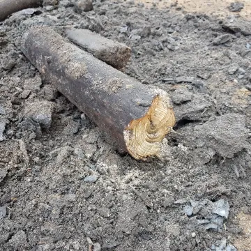 Archeolodzy pracują w centrum Radomska