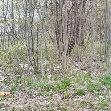 Opony, butelki, worki. Dlaczego wciąż wyrzucamy śmieci gdzie popadnie