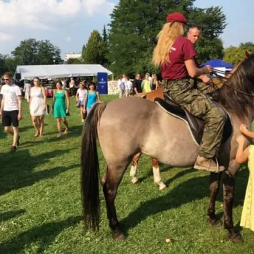 Dzień Organizacji Pozarządowych w Radomsku