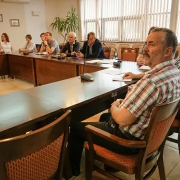 Jak pomóc bezdomnym zwierzętom