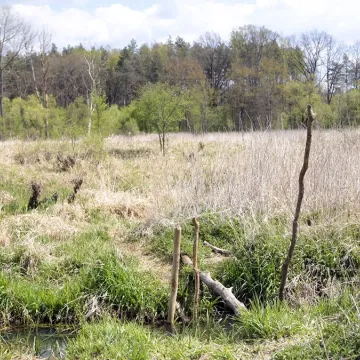 Era Travel na weekend: wyprawa do krainy bobra