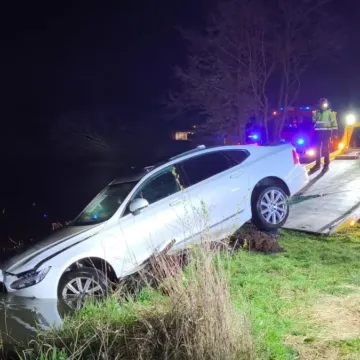[WIDEO] Chciał ominąć zwierzę. Samochód wylądował w rzece