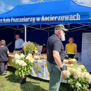 Słodka zabawa z miodem w Gomunicach