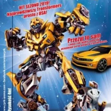 Cyrk Arena w Radomsku