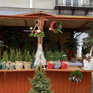 W Radomsku rozpoczął się Jarmark Bożonarodzeniowy