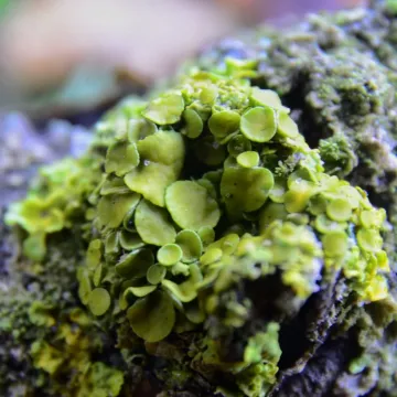 Pałac i natura w obiektywie