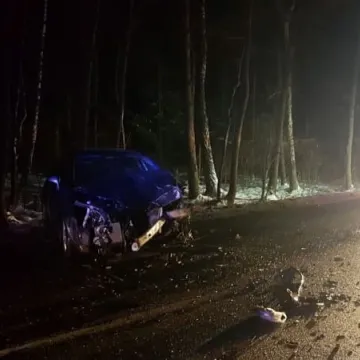 Koń wbiegł na jezdnię