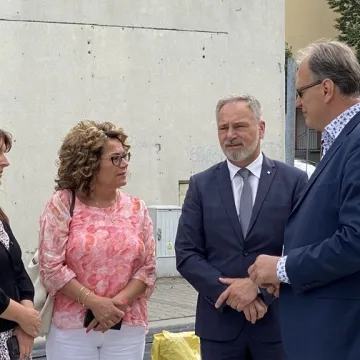 Ogrody wertykalne w Radomsku oficjalnie oddane do użytku