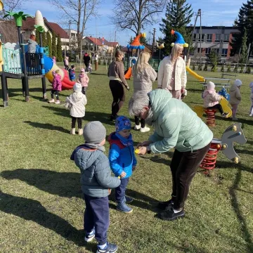 Zajączek ukrył się w PP nr 5 w Radomsku. Dzieci ruszyły na poszukiwania
