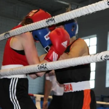 Boks królował w Radomsku