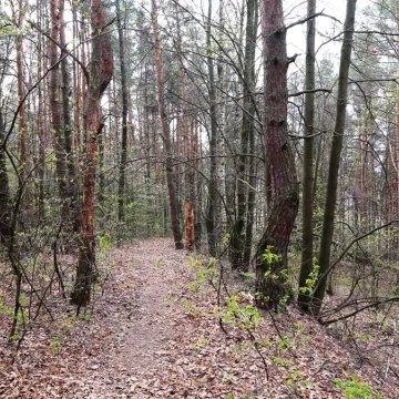 Era Travel na weekend: Majowa Góra w Woli Przedborskiej