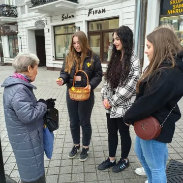 Młodzież z „ekonomika” rozdawała żonkile na ulicach Radomska