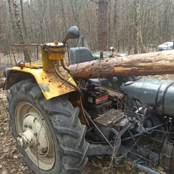 Lipie: Drzewo upadło na mężczyznę