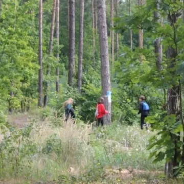 VII edycja Biegu na Orientację „Stop Przemocy”
