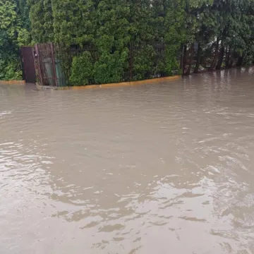 Mieszkanka ul. Krasickiego: Od 20 lat nikt z tym nic nie robi!