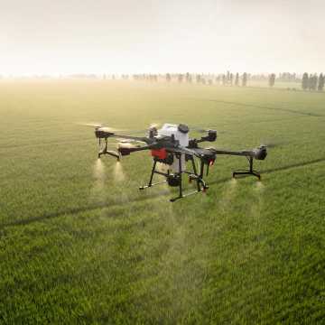 Innowacyjne technologie w rolnictwie