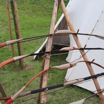 Wielkie Łowy Króla Kazimierza w Przedborzu