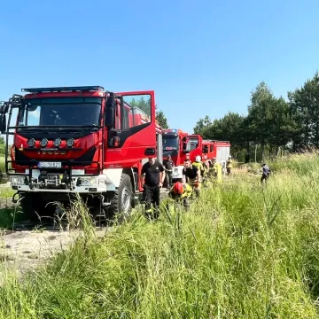 W Wiewiórowie paliła się koparka