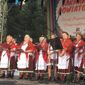 Jarmark Powiatowy 2018 w parku Solidarności