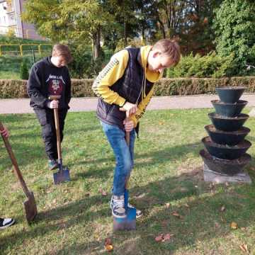 Uczniowie „Mechanika” w Radomsku zasadzili krokusy