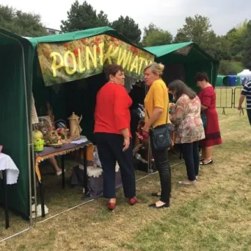 Jarmark Powiatowy 2018 w parku Solidarności