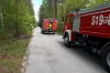 Pożar poszycia leśnego na drodze między Siódemką a Podjezioro