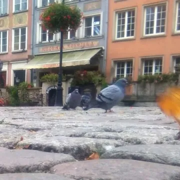 Foto Pozytyw nad morzem