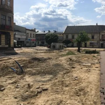 Kolejne drzewa na Reymonta wycięte