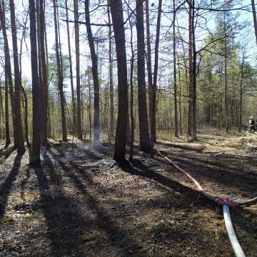 W Myśliwczowie palił się hektar poszycia leśnego