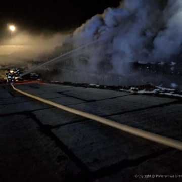 [WIDEO] 200 m² składowiska odpadów objęte pożarem w Płoszowie